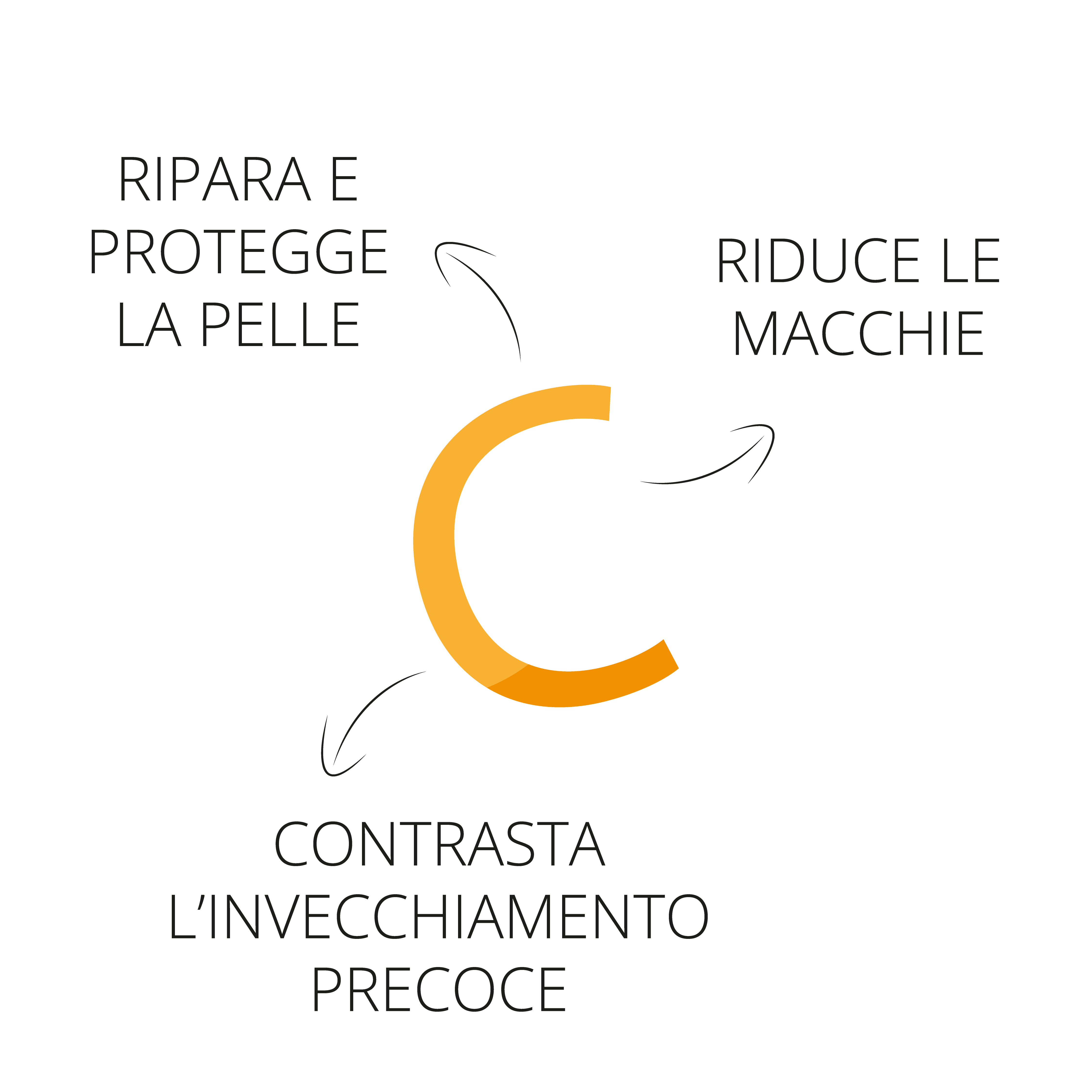 Tavola disegno 3- VIT E ARTICOLO –