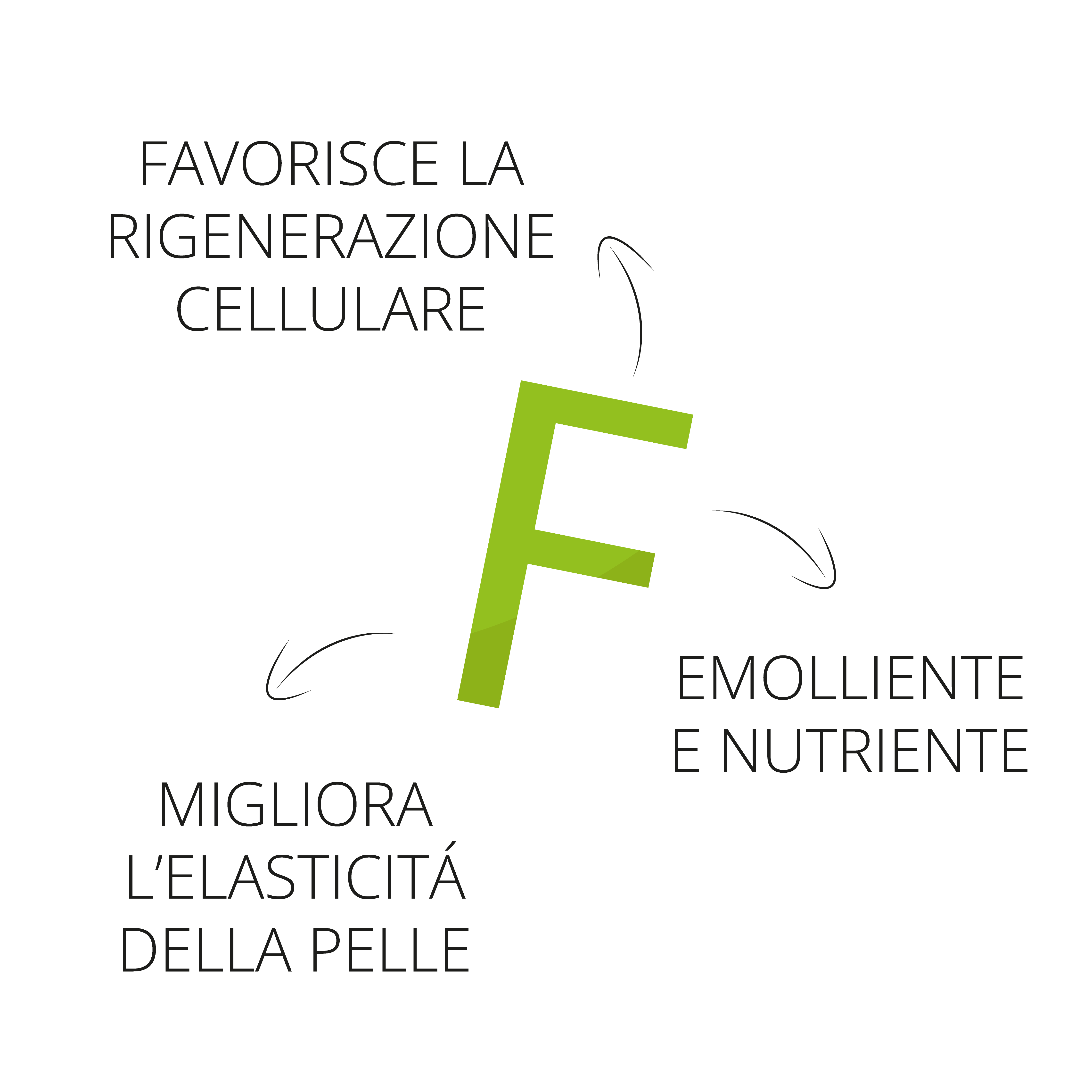 Tavola disegno 4- VIT E ARTICOLO –