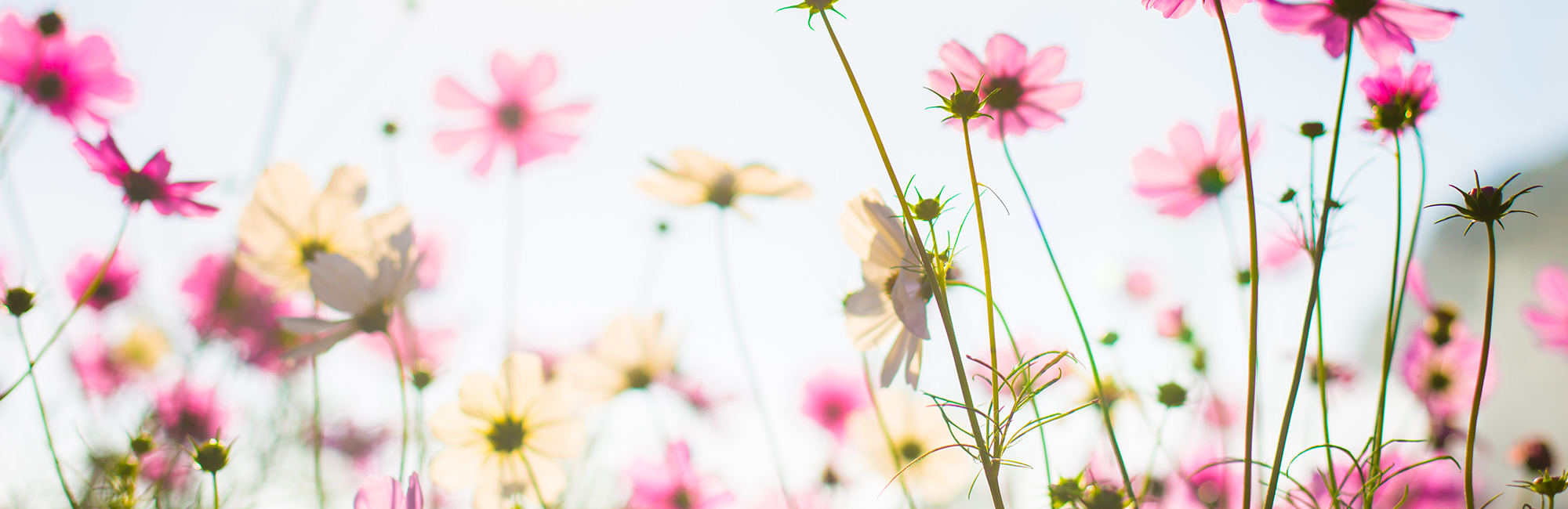 Cambio di stagione, benvenuta primavera!